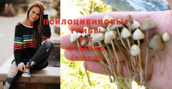 гидропоника Алзамай
